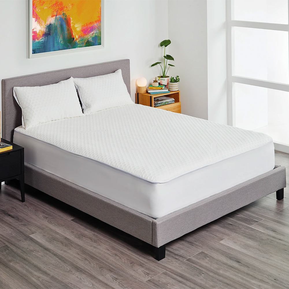 StayNew Cotton Terry Pillow Protector | Simply Beds New Zealand